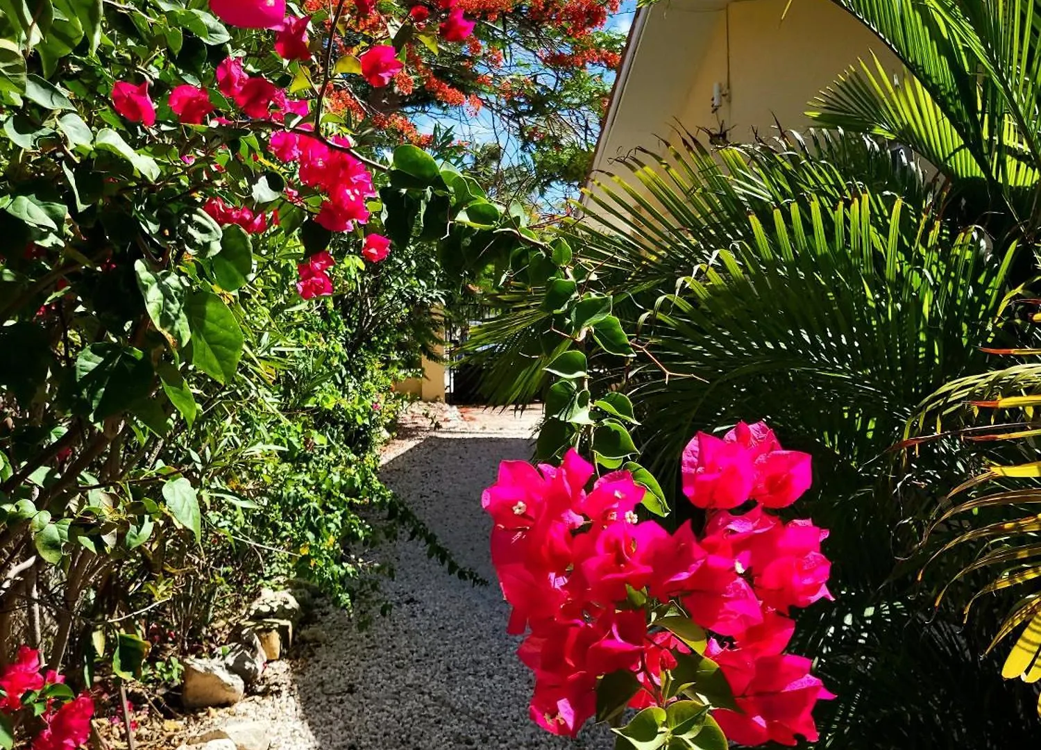 Villa Dushi Arembos, 6 Persons, Private Pool, Comfortable Car, Tropical Garden Grote Berg 0*,