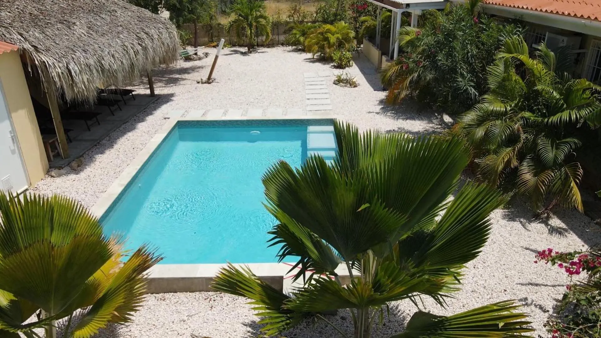 Villa Dushi Arembos, 6 Persons, Private Pool, Comfortable Car, Tropical Garden Grote Berg Curaçao