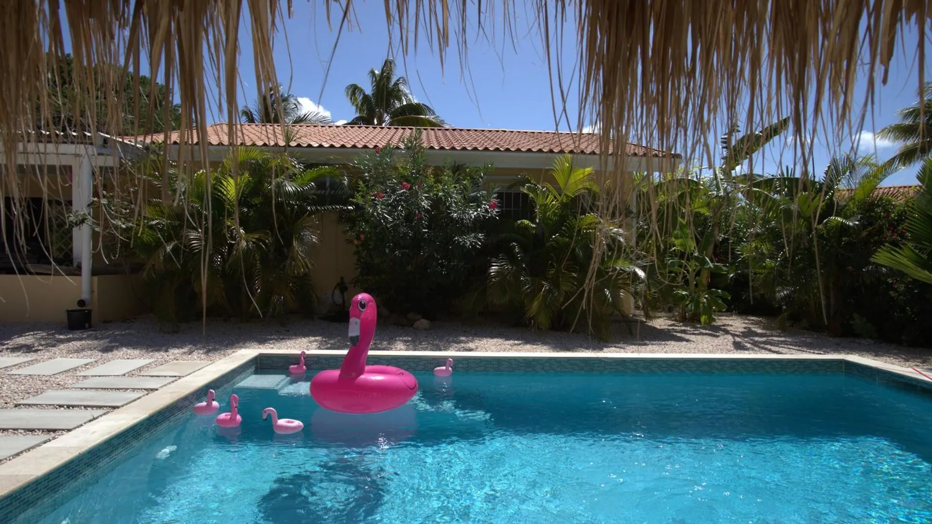 Villa Dushi Arembos, 6 Persons, Private Pool, Comfortable Car, Tropical Garden Grote Berg
