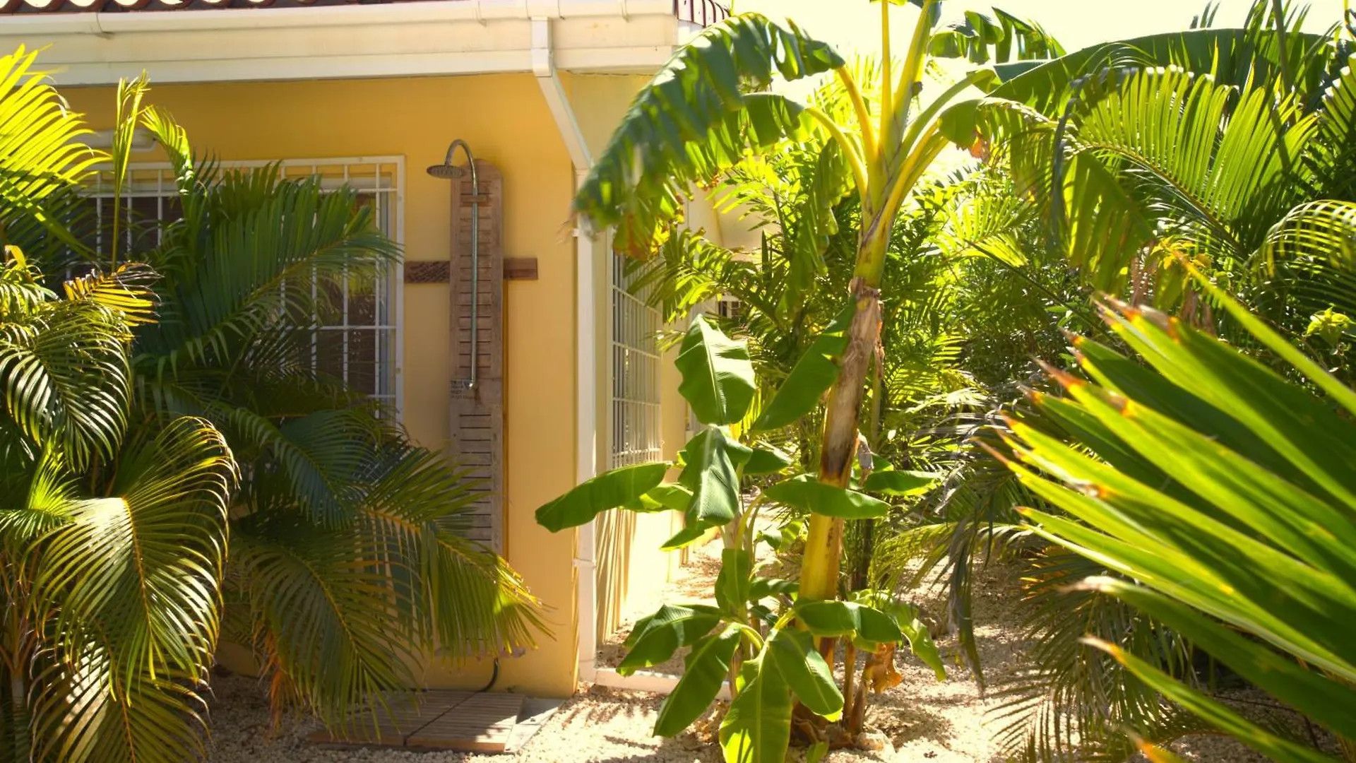 Villa Dushi Arembos, 6 Persons, Private Pool, Comfortable Car, Tropical Garden Grote Berg