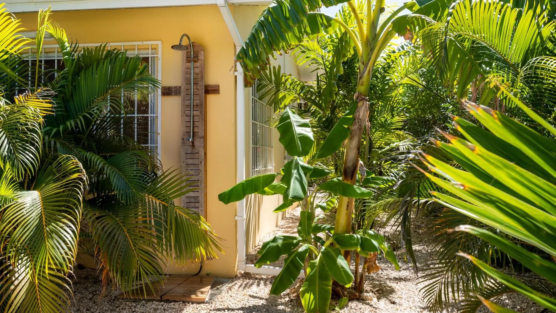 Villa Dushi Arembos, 6 Persons, Private Pool, Comfortable Car, Tropical Garden Grote Berg