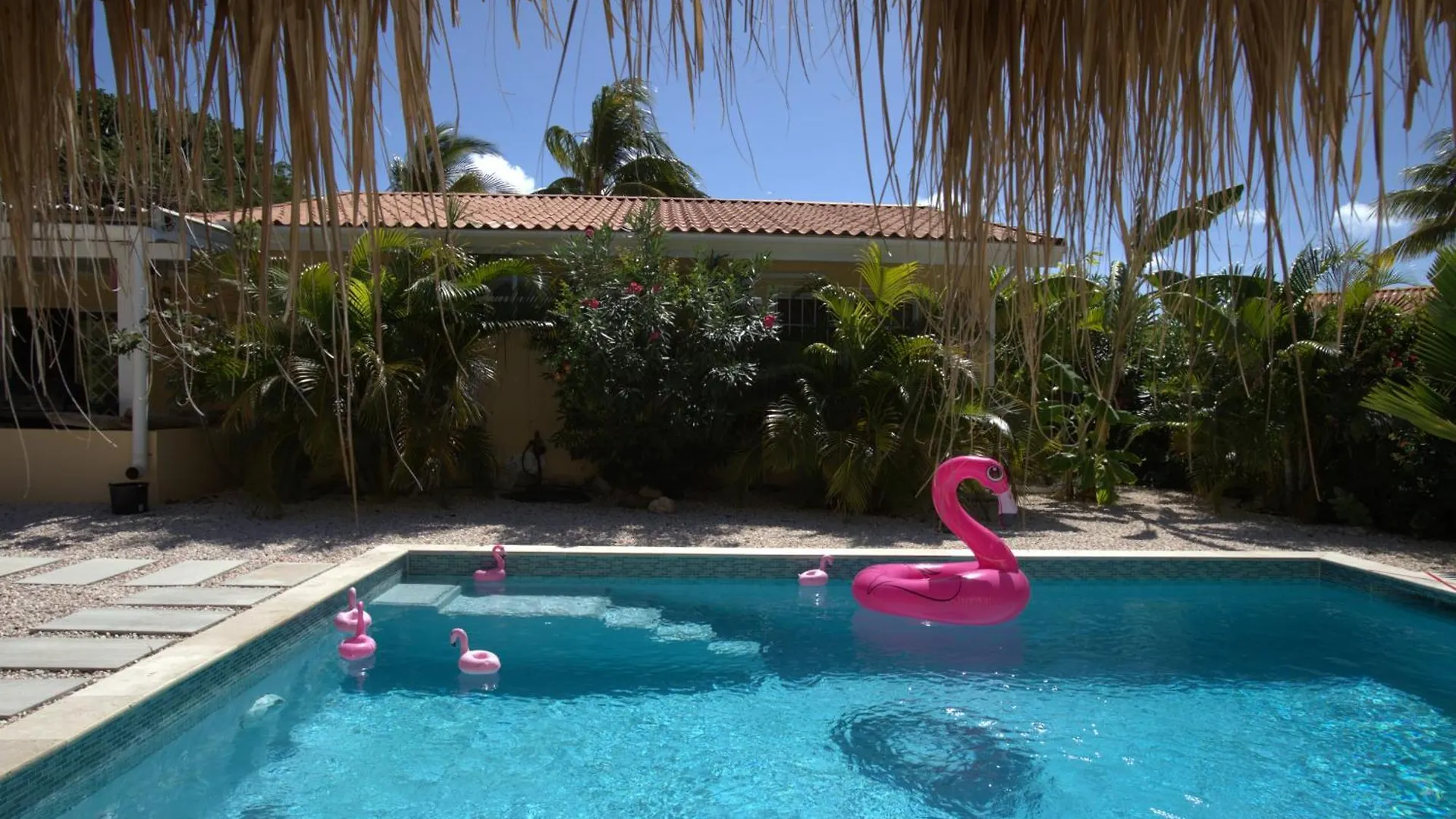 Villa Dushi Arembos, 6 Persons, Private Pool, Comfortable Car, Tropical Garden Grote Berg