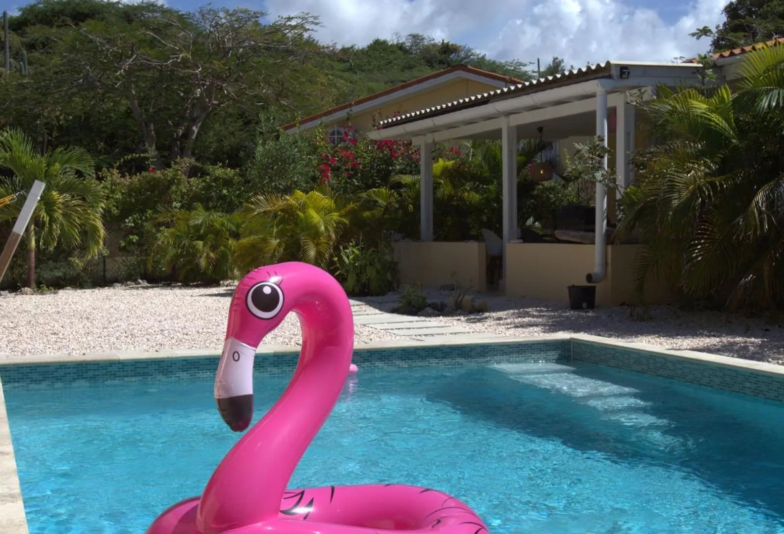 Villa Dushi Arembos, 6 Persons, Private Pool, Comfortable Car, Tropical Garden Grote Berg