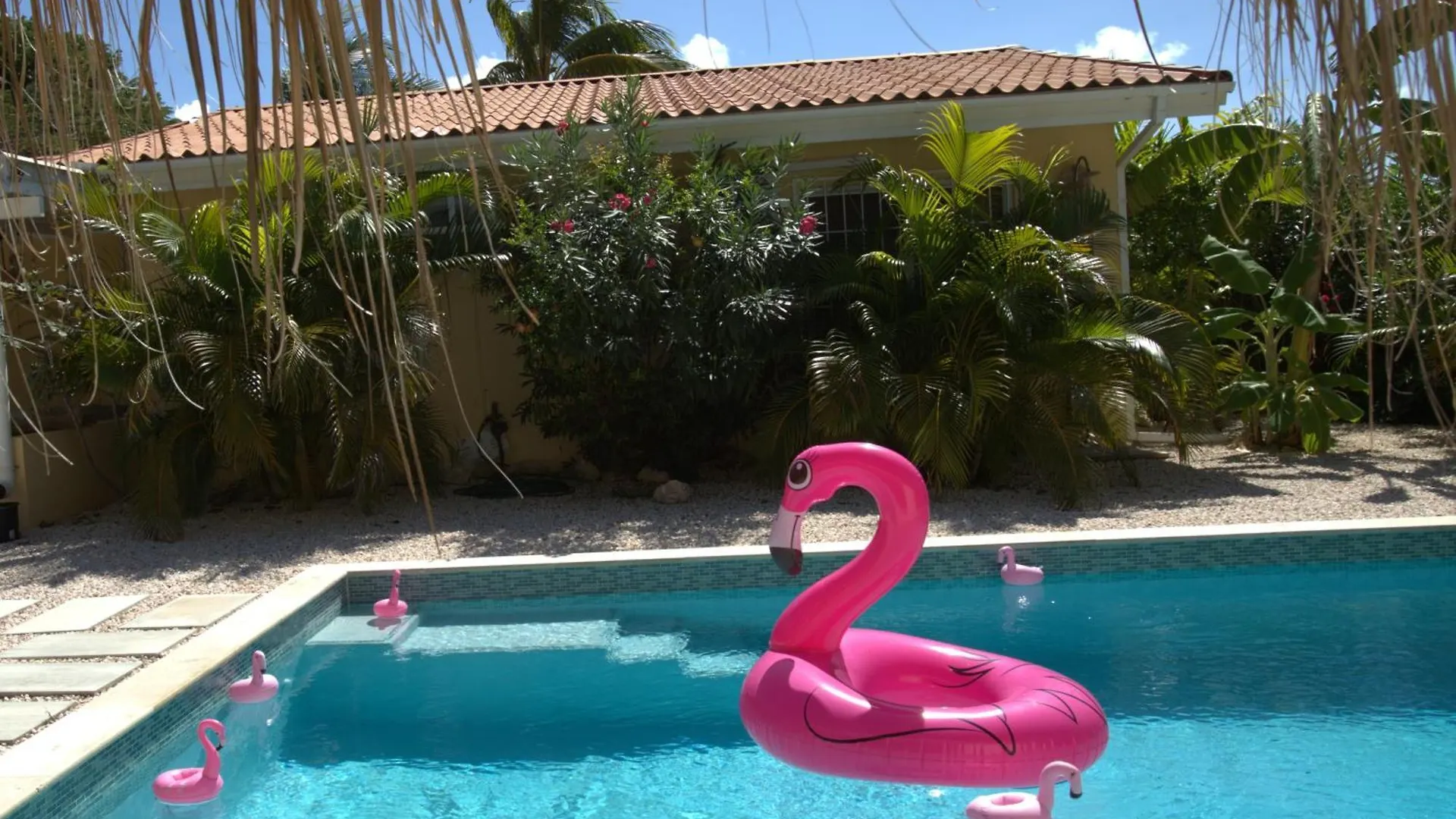 Villa Dushi Arembos, 6 Persons, Private Pool, Comfortable Car, Tropical Garden Grote Berg